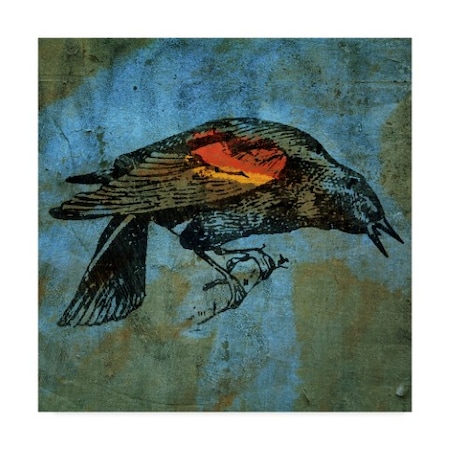 John W. Golden 'Redwing Blackbird' Canvas Art,35x35